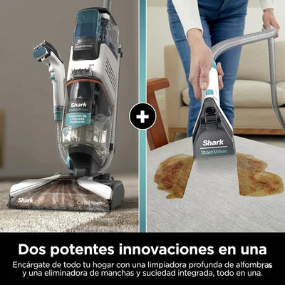 Aspiradora Shark R CarpetXpert