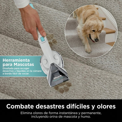 Aspiradora Shark R CarpetXpert