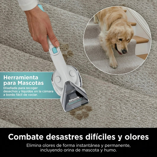 Aspiradora Shark R CarpetXpert